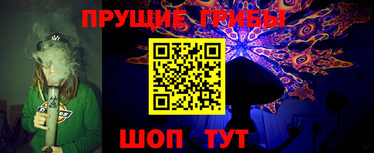 Псилоцибиновые грибы Psilocybe Черногорск