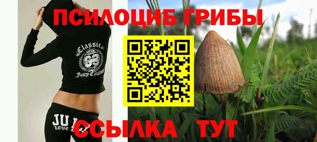 наркошоп  Галлюциногенные грибы Psilocybe  Вход с VPN  Черногорск  Галлюциногенные грибы Psilocybine cubensis 