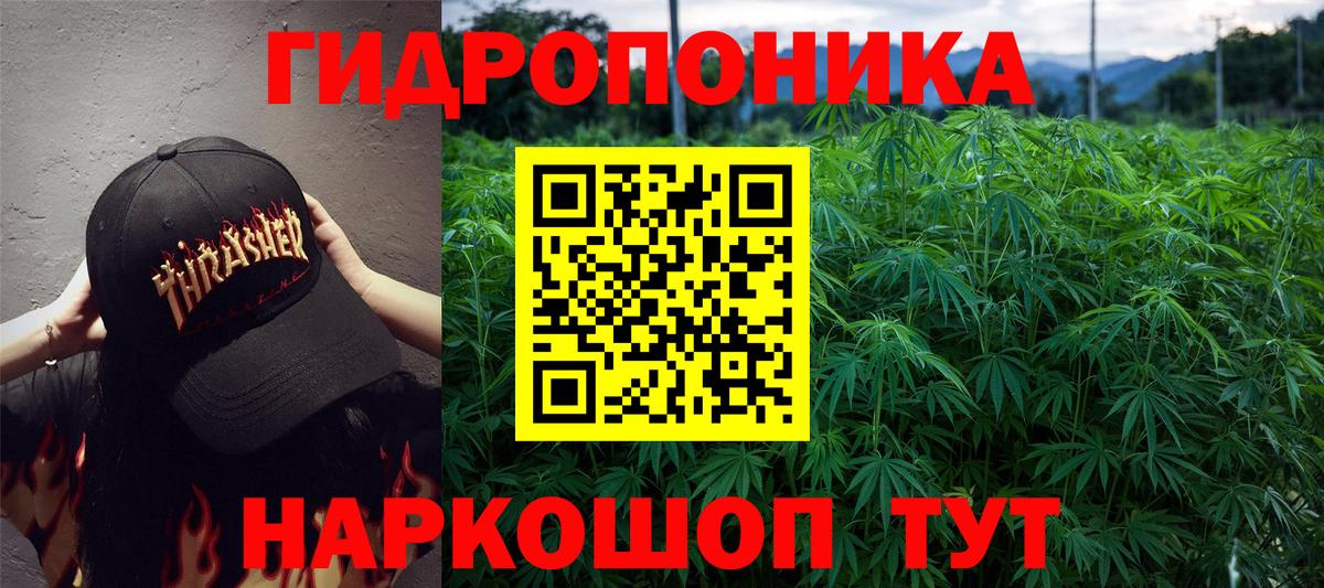 Конопля план  Шишки марихуана ГИДРОПОН  Черногорск  Бошки Шишки AK-47  Вход с VPN 